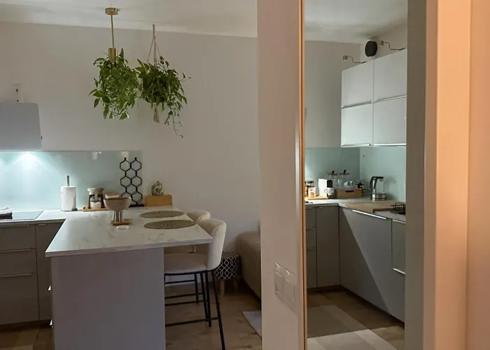 V Meste Appartement *