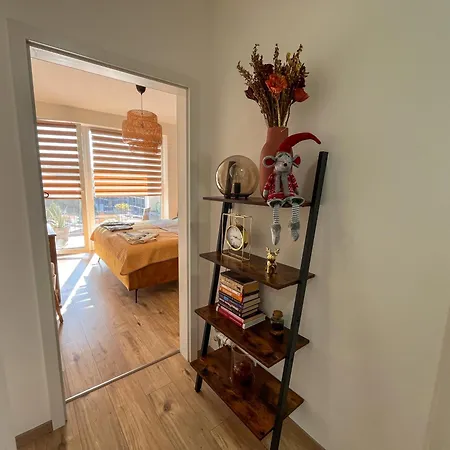 V Meste 布拉迪斯拉发